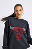 Bulls Gems Logo Crew